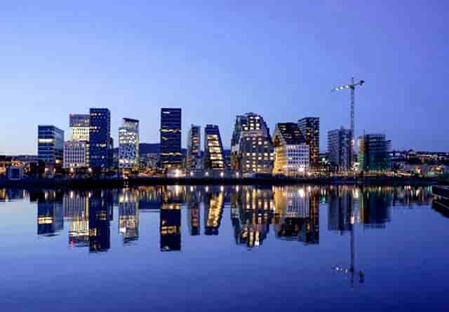 袖虎病猫攻略：感染绦虫怎么办？