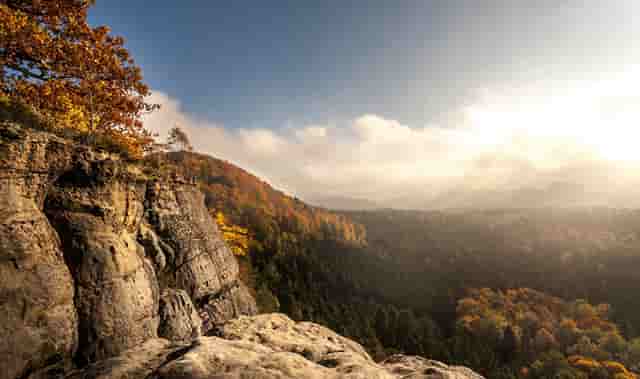 “鄂尔多斯红葱”正逐步走向产业化