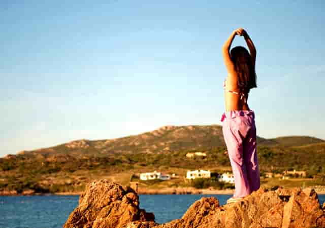 袖虎加盟店：养宠骗局分析1