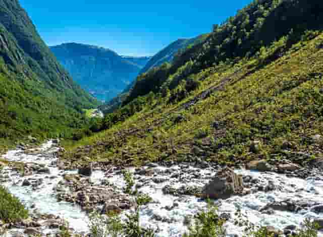 胖女人搭配衣服技巧时尚(胖人衣服搭配技巧图片女装)