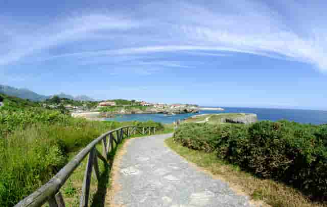 时尚女装挂板技巧图(时尚女装怎么挂板)