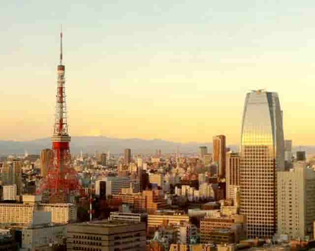 袖虎病狗攻略：狗狗口腔保健，拒绝口臭